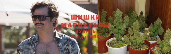 MESCALINE Переславль-Залесский