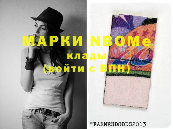 гашик Няндома