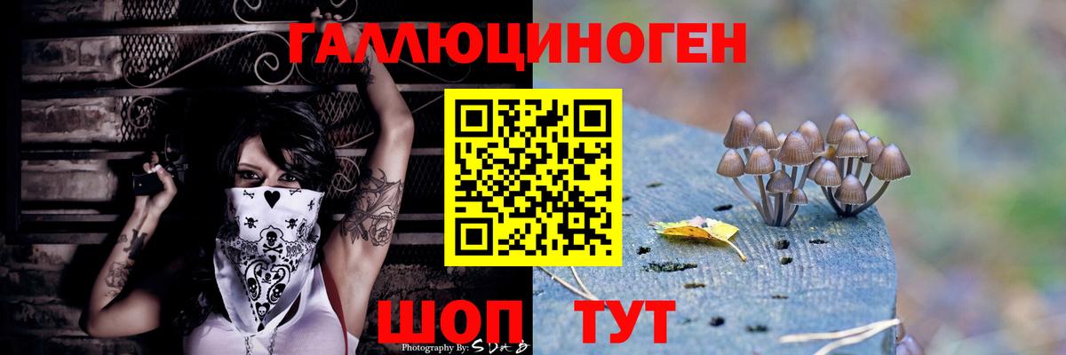 Галлюциногенные грибы Psilocybine cubensis Сургут
