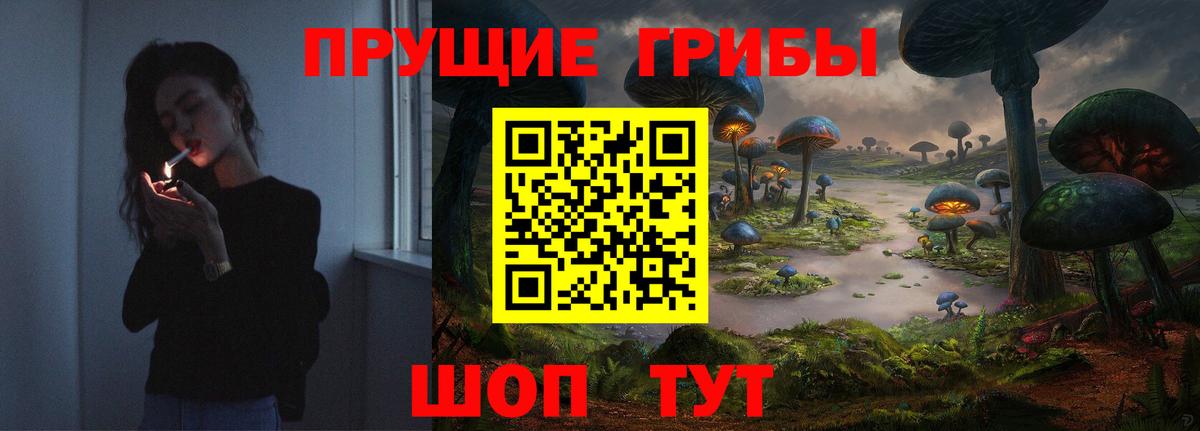 Псилоцибиновые грибы Cubensis  Псилоцибиновые грибы MAGIC MUSHROOMS  Вход с VPN  Сургут 